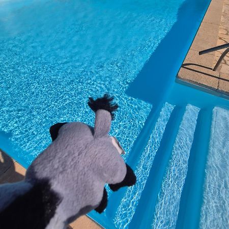 Havre De Paix Appart Climatise,Piscine,Wifi Le Barcarès المظهر الخارجي الصورة