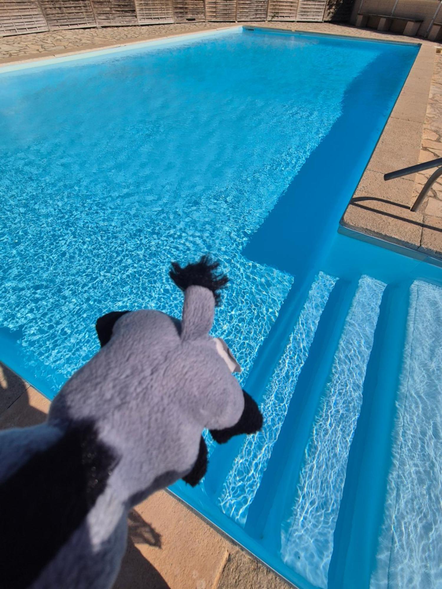 Havre De Paix Appart Climatise,Piscine,Wifi Le Barcarès المظهر الخارجي الصورة